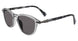 John Varvatos SJV559 Sunglasses