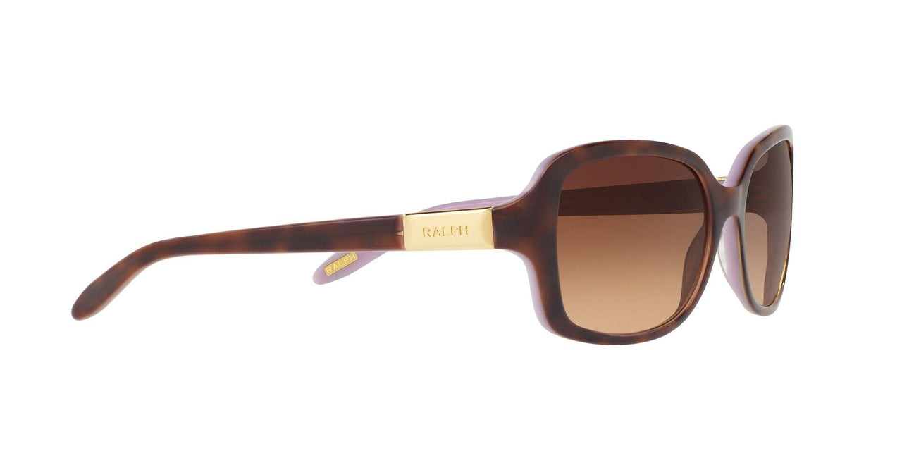 159613 - Havana - Brown Gradient