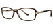 Sophia Loren SL1569 Eyeglasses