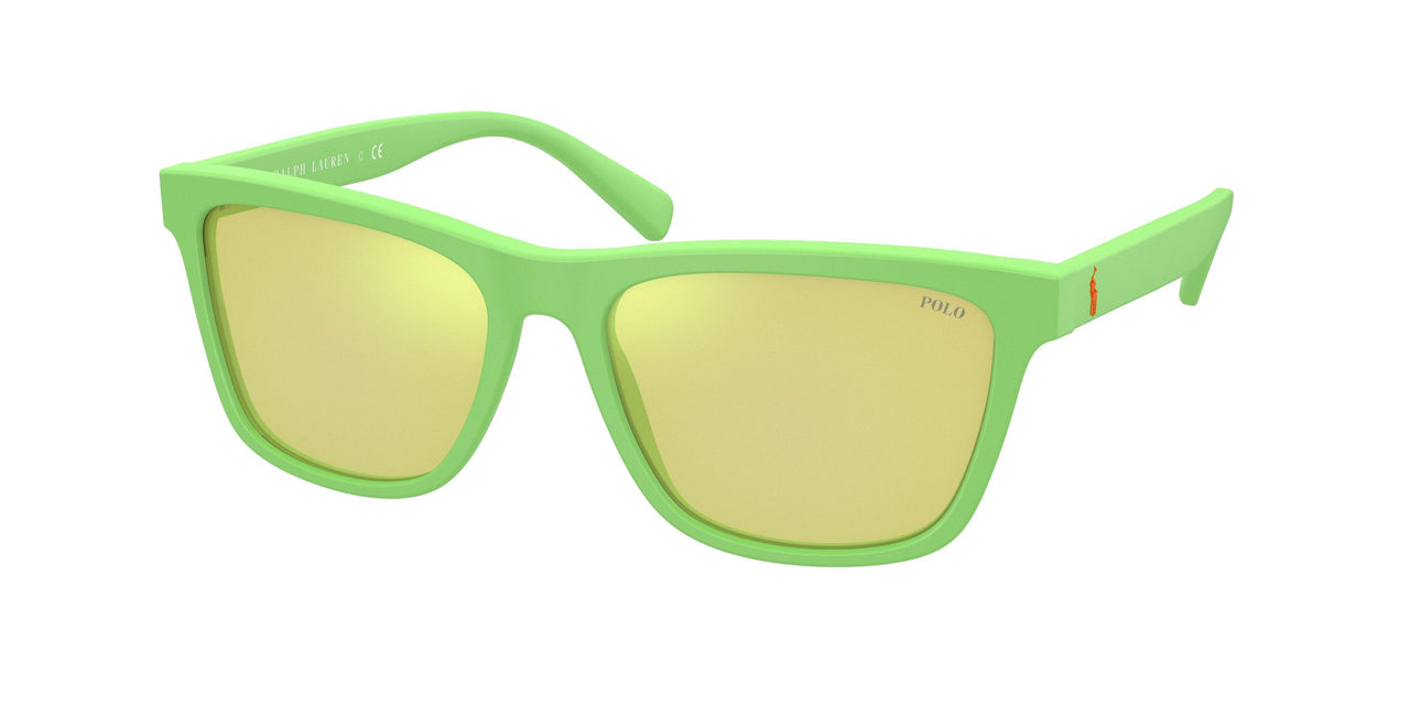 Polo 4167 Sunglasses