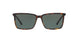 600171 - Dk Tortoise - Green Solid