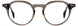 STATE Optical Co. ELSTON Eyeglasses