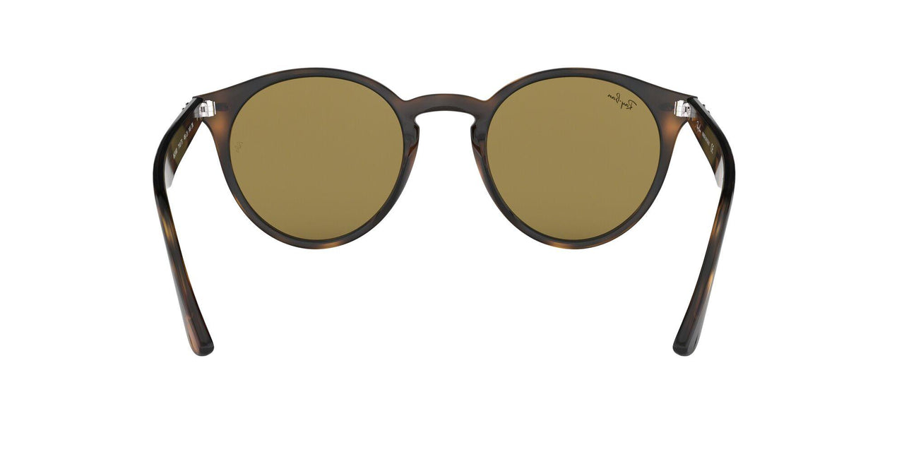 710/73 - Havana - Dark Brown