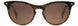 STATE Optical Co. AUGUSTASW Sunglasses