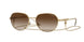 Vogue Eyewear 4254S Sunglasses