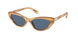 Polo 4199U Sunglasses