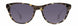 STATE Optical Co. RAVENSWOODSW Sunglasses