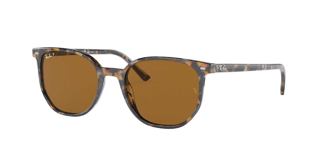 Ray-Ban Elliot 2197 Sunglasses