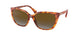 Ralph 5274 Sunglasses