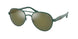 Polo 3141 Sunglasses