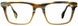 STATE Optical Co. BURNHAMGF Eyeglasses