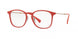 Ray-Ban 8954 Eyeglasses