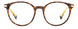 Polaroid Core PLDD461 Eyeglasses