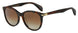 0086-LA - Dark Havana - Brown Gradient Polz Lens