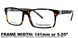 Preferred Stock FB00210 Stock Eyeglasses