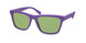 Polo 4167 Sunglasses