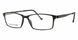 Stepper STE-10056 Eyeglasses