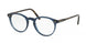 Polo 2083 Eyeglasses