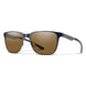 Smith Optics Active 204930 Lowdown Metal Sunglasses