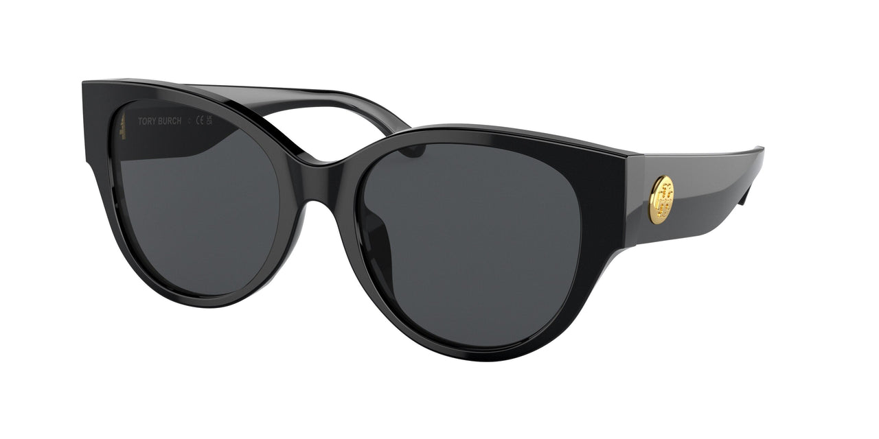 Tory burch black and hotsell gold sunglasses