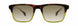 STATE Optical Co. BURNHAMSW Eyeglasses