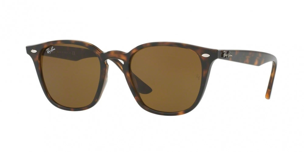 Ray-Ban 4258 Sunglasses