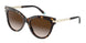 Tiffany 4182F Sunglasses