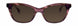 STATE Optical Co. HALSTEDSW Sunglasses