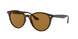 710/83 - Havana - Polar Brown