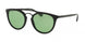 Polo 4121 Sunglasses