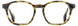 STATE Optical Co. KILDARE Eyeglasses