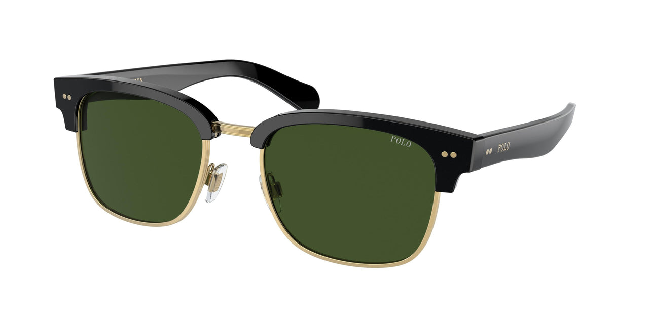 Polo 4202 Sunglasses