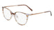 Pure P 3010 Eyeglasses