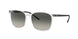 Ray-Ban 4387F Sunglasses