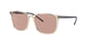 Ray-Ban 4387F Sunglasses