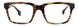 STATE Optical Co. LOGAN Eyeglasses