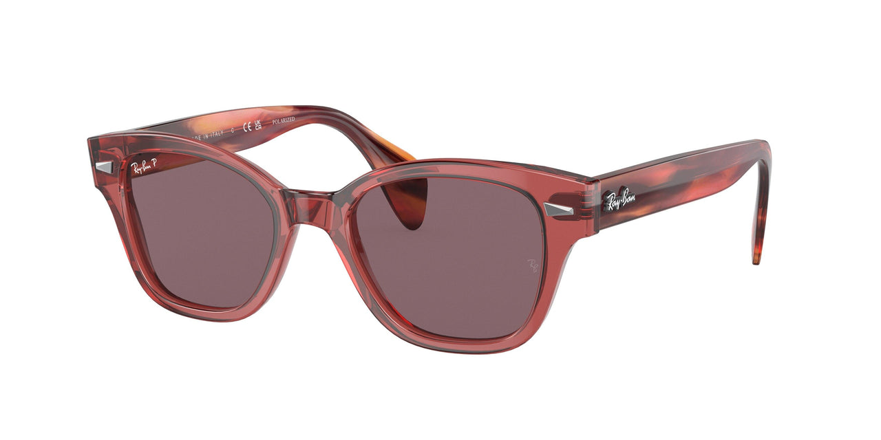 Ray-Ban 0880SF Sunglasses