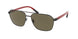 Polo 3140 Sunglasses