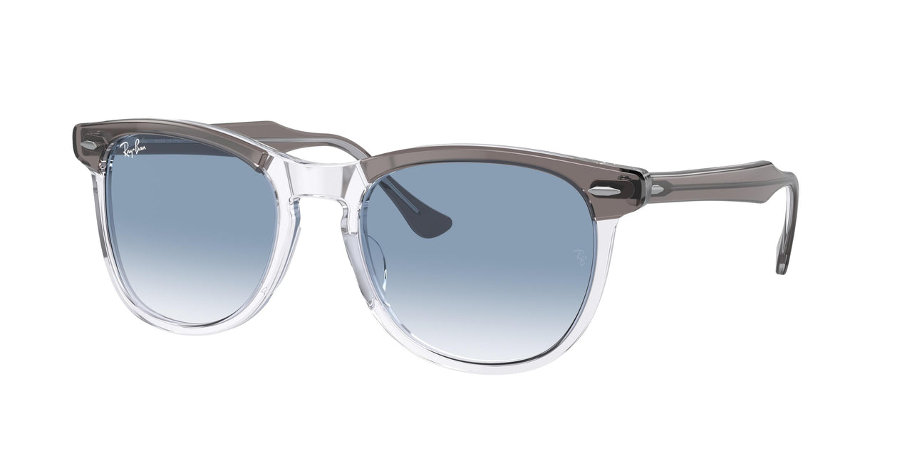 Ray-Ban Eagleeye 2398 Sunglasses