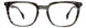 STATE Optical Co. MAXWELL Eyeglasses