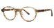 OGI Eyewear 9133 Eyeglasses
