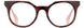 STATE Optical Co. MAGNOLIA Eyeglasses