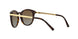 3106T5 - Havana - Brown Gradient Polarized