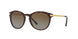 3106T5 - Havana - Brown Gradient Polarized