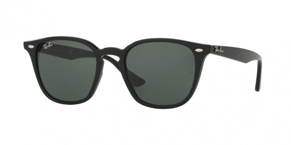 Ray-Ban 4258 Sunglasses