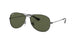 004/58 - Gunmetal - Crystal Green Polarized