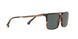 600171 - Dk Tortoise - Green Solid