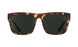 623863 - Vintage Tortoise - Happy Gray Green