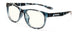 09709 - Navy Tortoise - clear