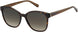 0086-HA - Dark Havana - Brown Gradient